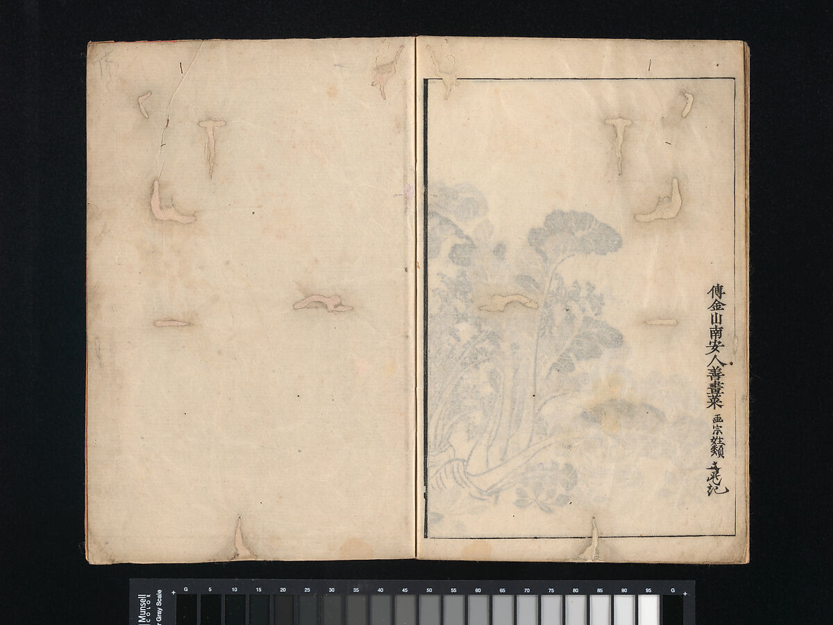 Collection of Japanese 
Paintings, Tani Bunchō (Japanese, 1763–1840), Eight woodblock printed books; ink and color on paper, Japan