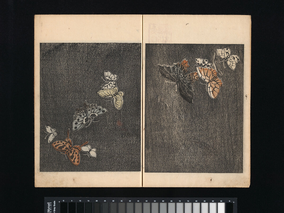 Collection of Japanese 
Paintings, Tani Bunchō (Japanese, 1763–1840), Eight woodblock printed books; ink and color on paper, Japan