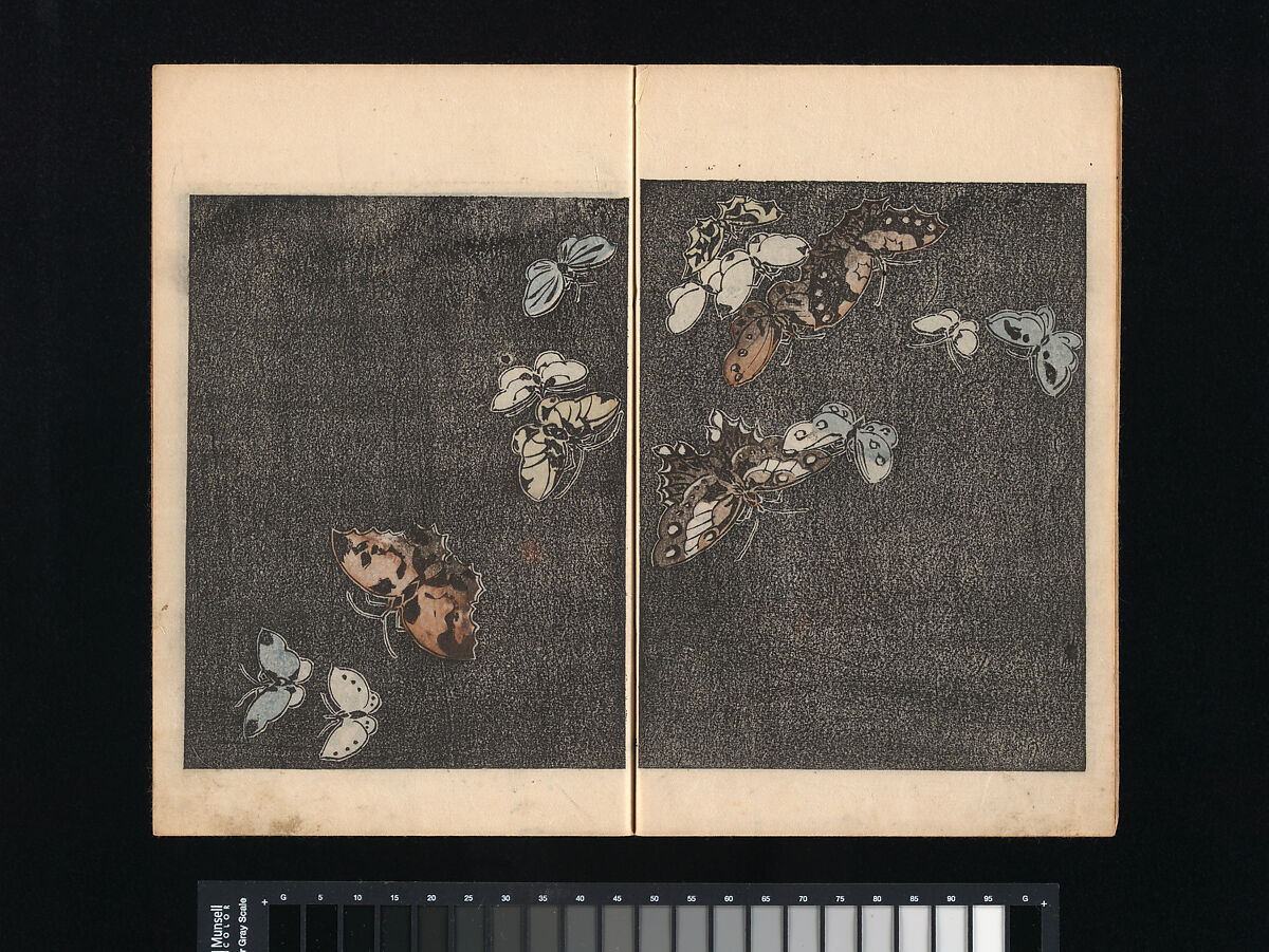 Collection of Japanese 
Paintings, Tani Bunchō (Japanese, 1763–1840), Eight woodblock printed books; ink and color on paper, Japan