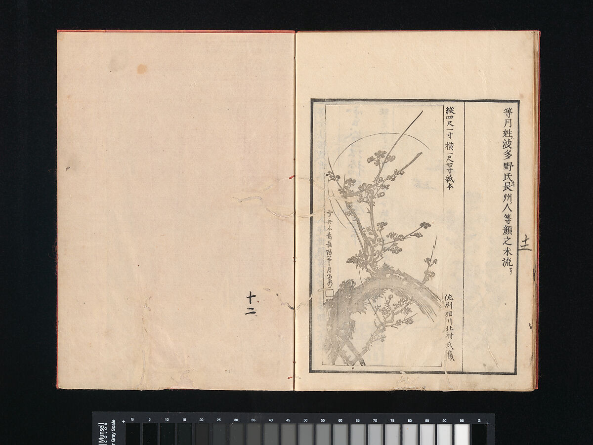 Collection of Japanese 
Paintings, Tani Bunchō (Japanese, 1763–1840), Eight woodblock printed books; ink and color on paper, Japan