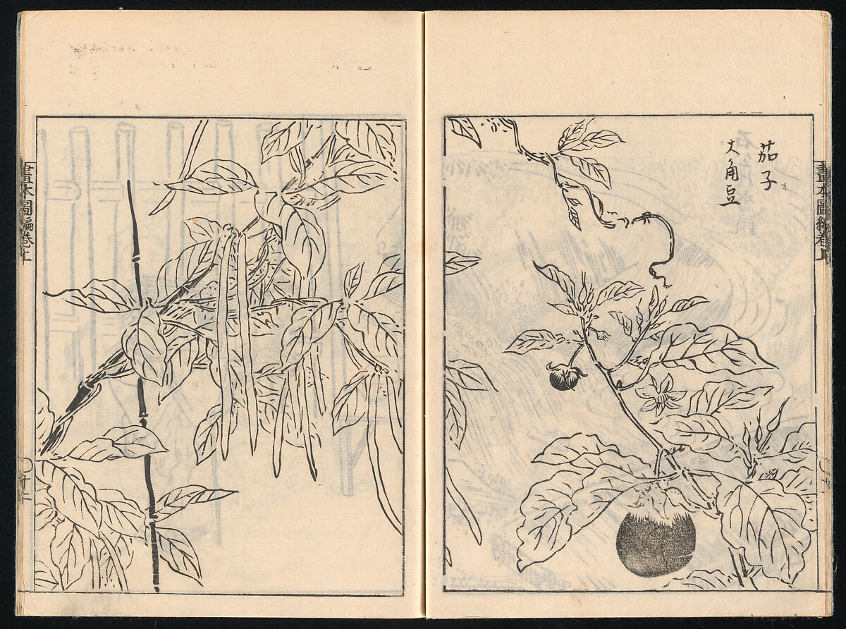 Collected Manual of Paintings, Hanabusa Ippō (Japanese, 1691–1760), Three woodblock printed books; ink on paper, Japan