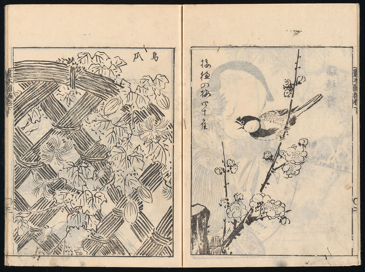 Collected Manual of Paintings, Hanabusa Ippō (Japanese, 1691–1760), Three woodblock printed books; ink on paper, Japan