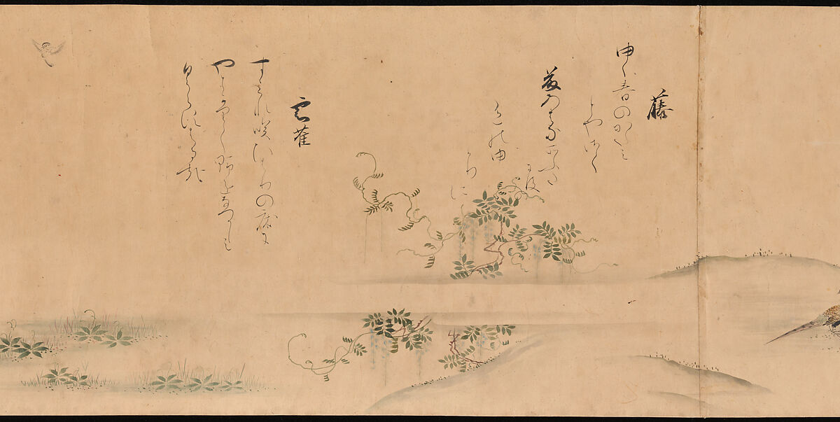 Fujiwara no Teika’s “Poems on Flowers and Birds of the Twelve Months”, Handscroll; ink and color on paper, Japan