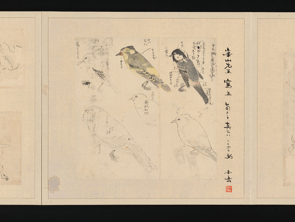 Album of Fifty-four Sketches, Watanabe Kazan (Japanese, died 1841), Album of fifty-four sketches; ink and color on paper, Japan