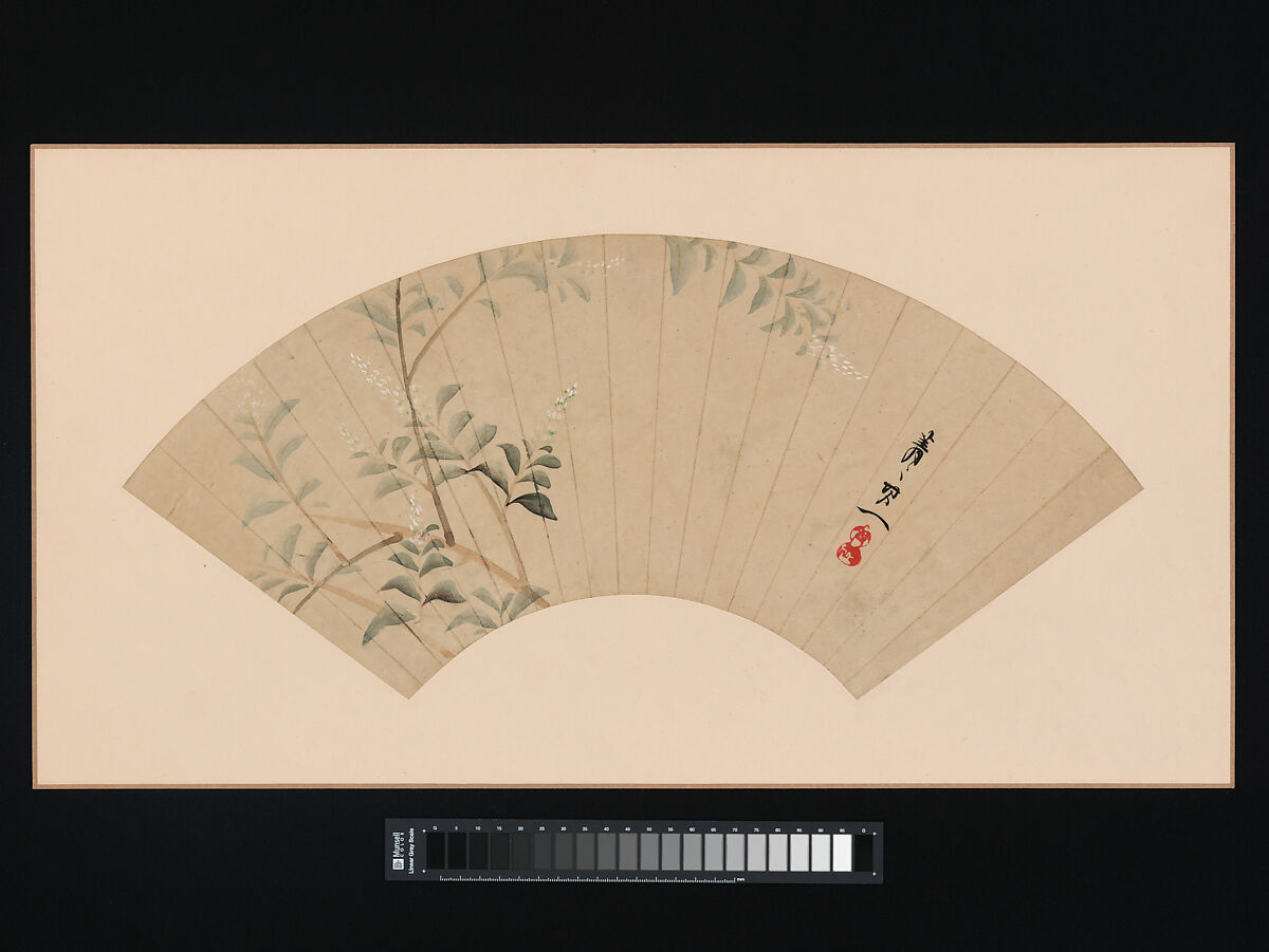 Bush Clover, Suzuki Kiitsu (Japanese, 1796–1858), Folding fan mounted as an album leaf; ink and color on paper, framed, Japan 