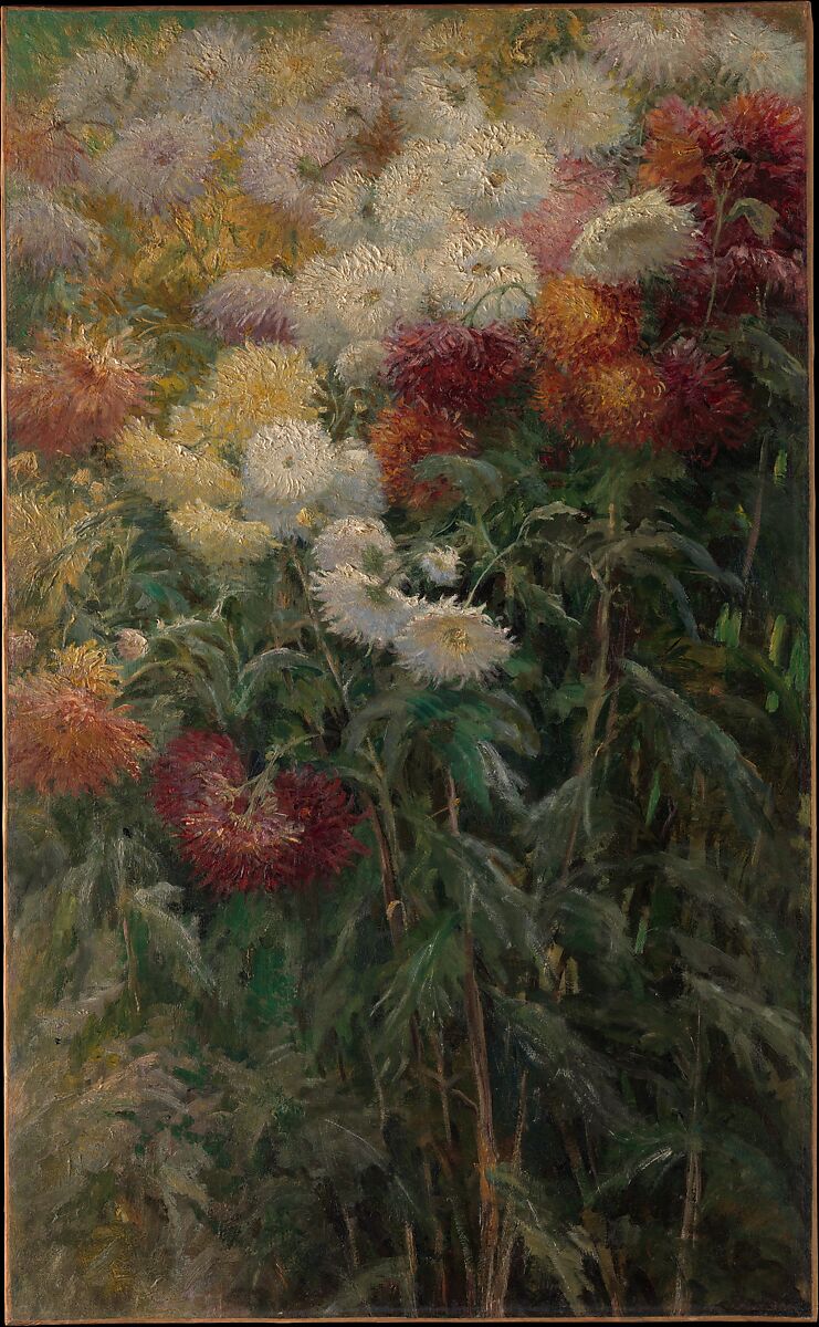 Chrysanthemums in the Garden at Petit-Gennevilliers, Gustave Caillebotte (French, Paris 1848–1894 Gennevilliers), Oil on canvas 