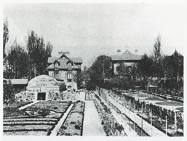 Chrysanthemums in the Garden at Petit-Gennevilliers, Gustave Caillebotte (French, Paris 1848–1894 Gennevilliers), Oil on canvas