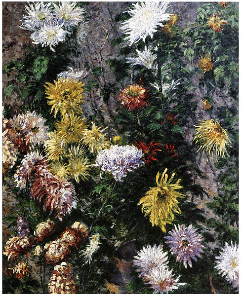Chrysanthemums in the Garden at Petit-Gennevilliers, Gustave Caillebotte (French, Paris 1848–1894 Gennevilliers), Oil on canvas
