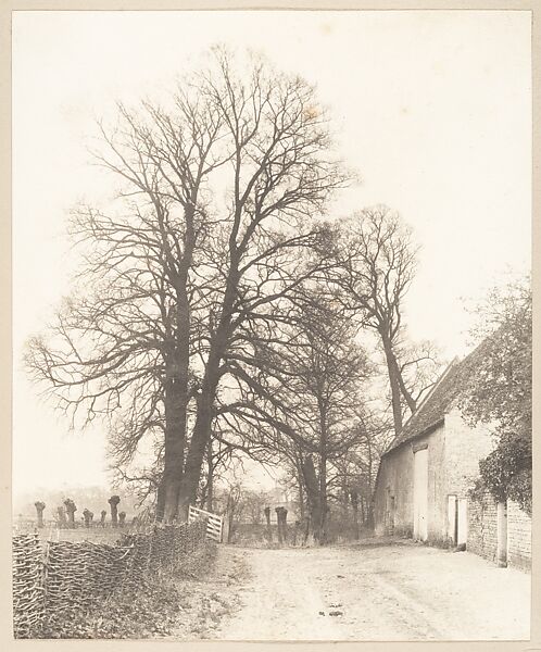 Entrance, On Right, Frederick H. Evans (British, London 1853–1943 London), Platinum print 