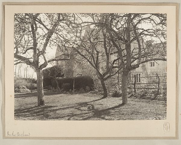 In the Orchard, Frederick H. Evans (British, London 1853–1943 London), Platinum print 