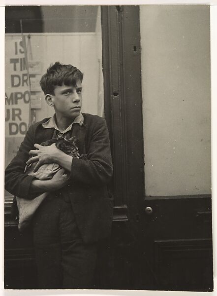 [Boy with a Cat], Dora Maar (French, Paris 1907–1997 Paris), Gelatin silver print 