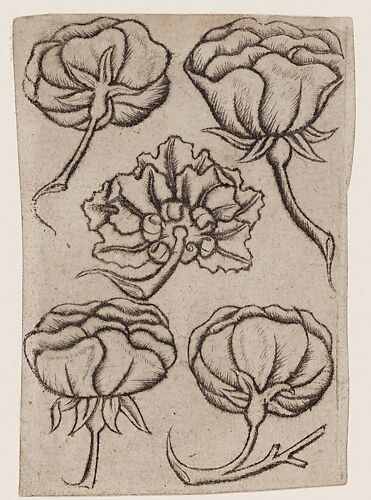 5 of Flowers, from The Playing Cards by the Master of the Playing Cards
