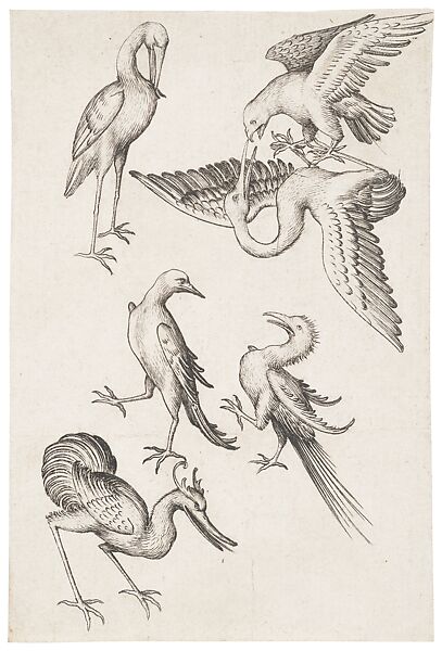 6 of Birds, from The Large Playing Cards of Master ES, Master ES (German, active ca. 1450–67), Copperplate engraving on paper, German 