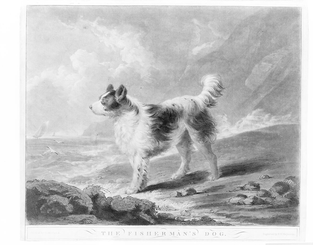 The Fisherman's Dog, Samuel William Reynolds, the elder (British, London 1773–1835 London), Mezzotint, hand-colored; second state (?) 