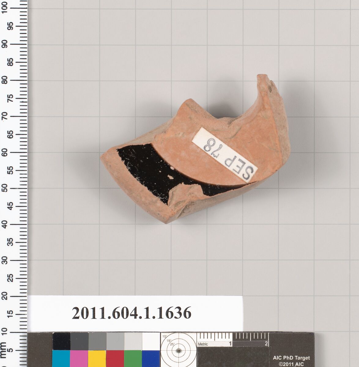 Terracotta fragment of a kylix (drinking cup), Terracotta, Greek, Attic