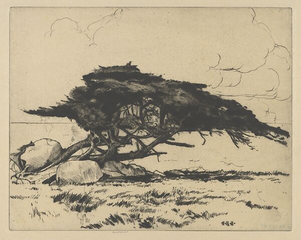 Dolphin, Ernest Haskell (American, Woodstock, Connecticut 1876–1925 West Point, Maine), Drypoint 