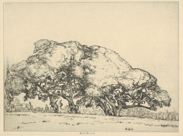 Four Live Oaks, Ernest Haskell (American, Woodstock, Connecticut 1876–1925 West Point, Maine), Drypoint 