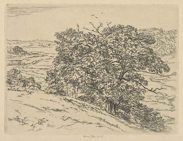 Dromore Oaks, Ernest Haskell (American, Woodstock, Connecticut 1876–1925 West Point, Maine), Etching 