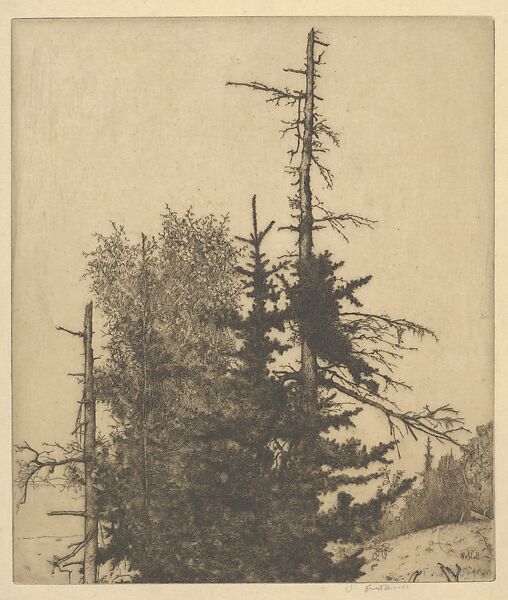 Dead Tops, Ernest Haskell (American, Woodstock, Connecticut 1876–1925 West Point, Maine), Etching and drypoint 