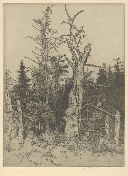 Spectre, Ernest Haskell (American, Woodstock, Connecticut 1876–1925 West Point, Maine), Etching 