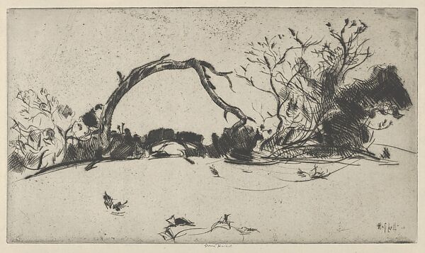 Cypress Study No. 1, Ernest Haskell (American, Woodstock, Connecticut 1876–1925 West Point, Maine), Drypoint 
