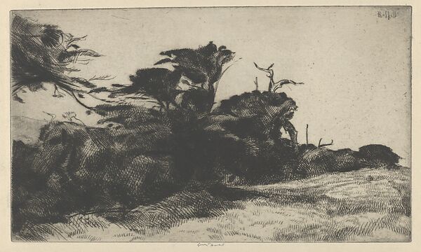 Cypress Study No. 2, Ernest Haskell (American, Woodstock, Connecticut 1876–1925 West Point, Maine), Drypoint 