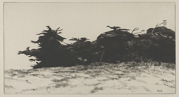 Cypress Wall, Ernest Haskell (American, Woodstock, Connecticut 1876–1925 West Point, Maine), Drypoint 