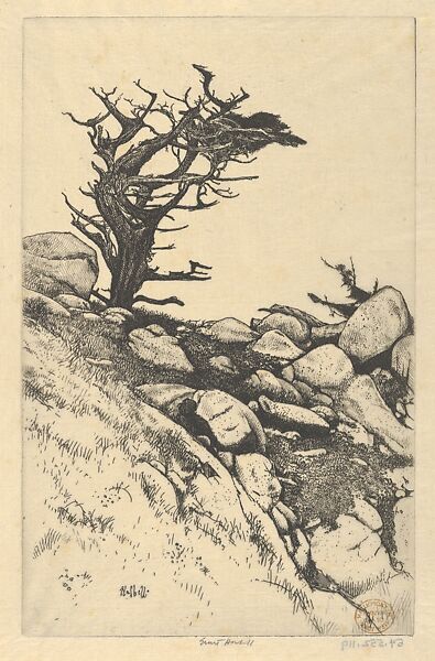 Cypress and Rocks, Ernest Haskell (American, Woodstock, Connecticut 1876–1925 West Point, Maine), Etching 