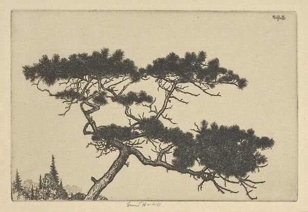 Crippled Pine, Ernest Haskell (American, Woodstock, Connecticut 1876–1925 West Point, Maine), Etching 