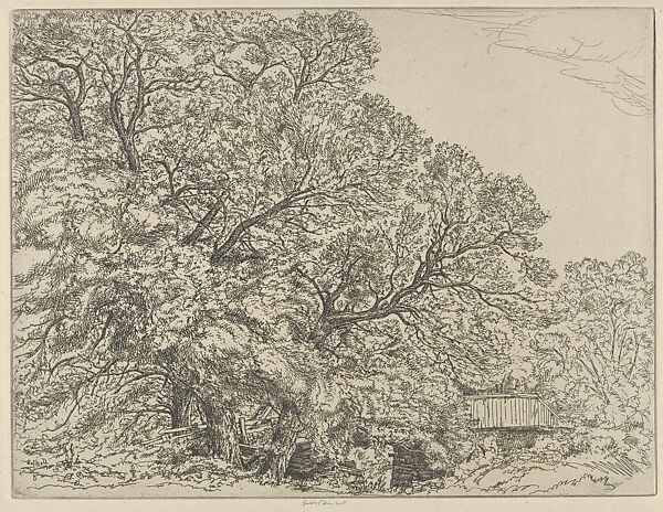 Alna Willows, Ernest Haskell (American, Woodstock, Connecticut 1876–1925 West Point, Maine), Etching 