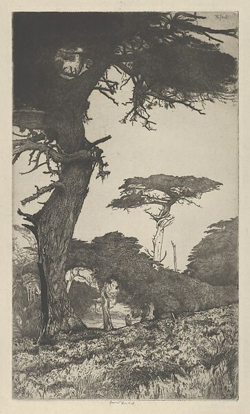 Cypress Vale, Ernest Haskell (American, Woodstock, Connecticut 1876–1925 West Point, Maine), Etching 