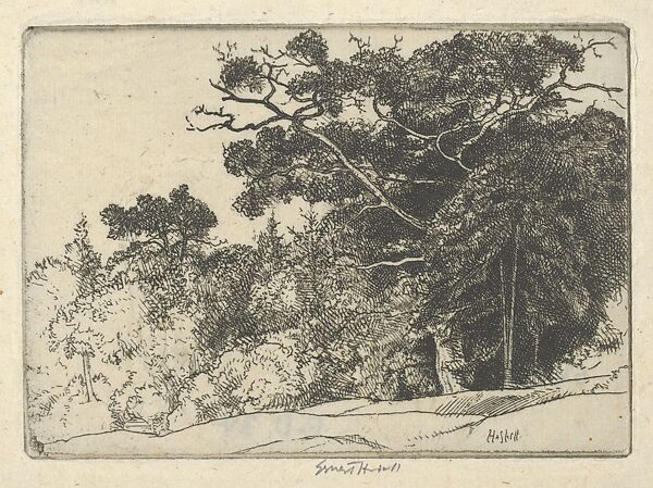 Brown's Oak, Ernest Haskell (American, Woodstock, Connecticut 1876–1925 West Point, Maine), Etching 