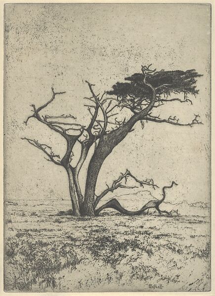 Antlers, Ernest Haskell (American, Woodstock, Connecticut 1876–1925 West Point, Maine), Etching 