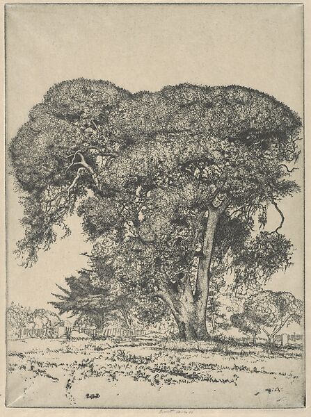 Cemetery Live Oak, Ernest Haskell (American, Woodstock, Connecticut 1876–1925 West Point, Maine), Etching and engraving 