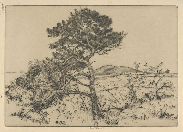 Popham Pines, Ernest Haskell (American, Woodstock, Connecticut 1876–1925 West Point, Maine), Drypoint 