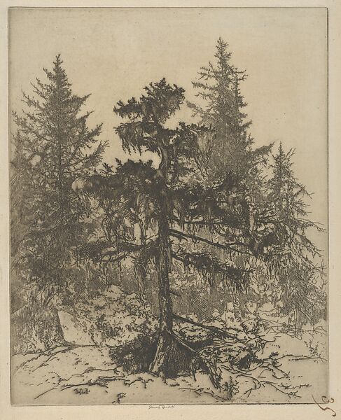 Moss Bride, Ernest Haskell (American, Woodstock, Connecticut 1876–1925 West Point, Maine), Etching 