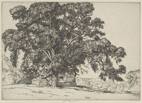 The Oak and the Adobe, Ernest Haskell (American, Woodstock, Connecticut 1876–1925 West Point, Maine), Etching 