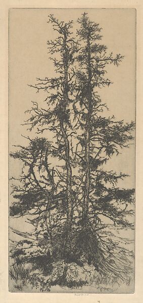 The Moss Trees, Ernest Haskell (American, Woodstock, Connecticut 1876–1925 West Point, Maine), Etching 