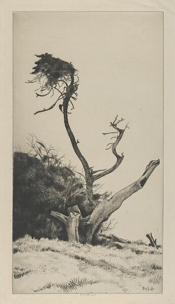 The Pennant, Ernest Haskell (American, Woodstock, Connecticut 1876–1925 West Point, Maine), Drypoint 