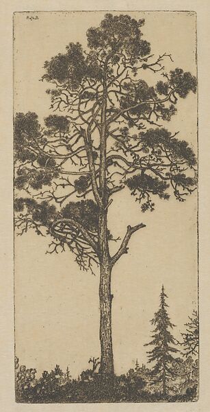 Little Pitch Pine, Ernest Haskell (American, Woodstock, Connecticut 1876–1925 West Point, Maine), Etching 