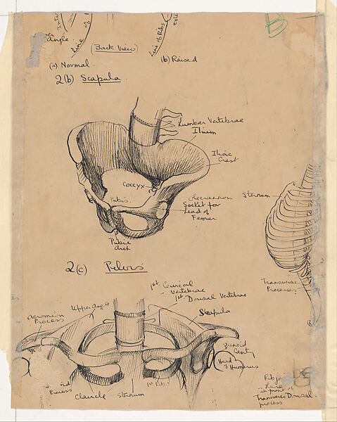 Collage, Judit Reigl (French (born Hungary), Kapuvár 1923–2020 Marcoussis, France), Cut and pasted printed papers