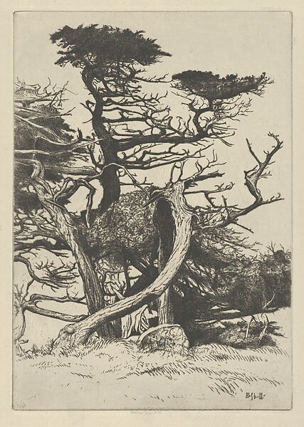 Line of Beauty, Ernest Haskell (American, Woodstock, Connecticut 1876–1925 West Point, Maine), Etching and engraving 
