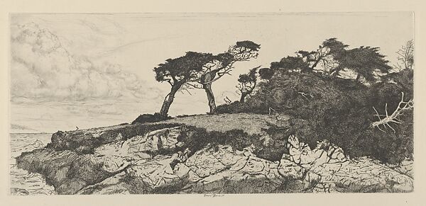 The Ostrich, Ernest Haskell (American, Woodstock, Connecticut 1876–1925 West Point, Maine), Etching 