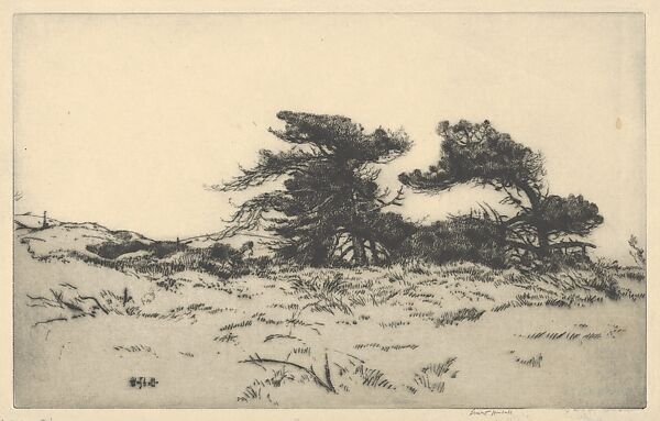 Lighthouse Pines No. 2, Ernest Haskell (American, Woodstock, Connecticut 1876–1925 West Point, Maine), Drypoint 