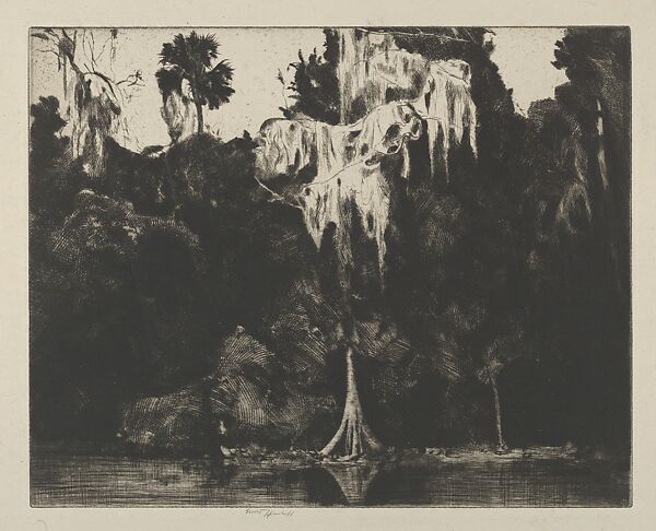Ghost Cypress, Ernest Haskell (American, Woodstock, Connecticut 1876–1925 West Point, Maine), Drypoint 