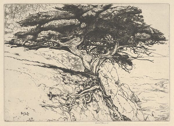Fan Tree, Ernest Haskell (American, Woodstock, Connecticut 1876–1925 West Point, Maine), Etching, drypoint and engraving 