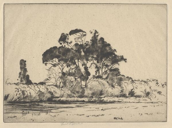 Feathery Trees, Ernest Haskell (American, Woodstock, Connecticut 1876–1925 West Point, Maine), Drypoint 