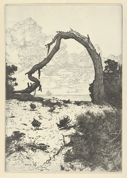 Pine Arch, Ernest Haskell (American, Woodstock, Connecticut 1876–1925 West Point, Maine), Etching and drypoint 