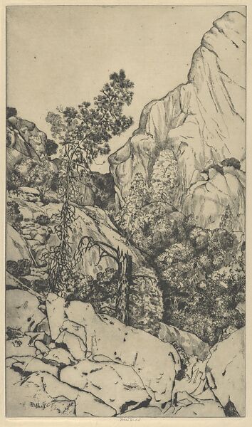 Pines and Pinnacles, Ernest Haskell (American, Woodstock, Connecticut 1876–1925 West Point, Maine), Drypoint 