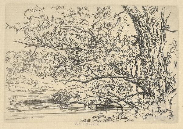 Willow and Water, Ernest Haskell (American, Woodstock, Connecticut 1876–1925 West Point, Maine), Etching 